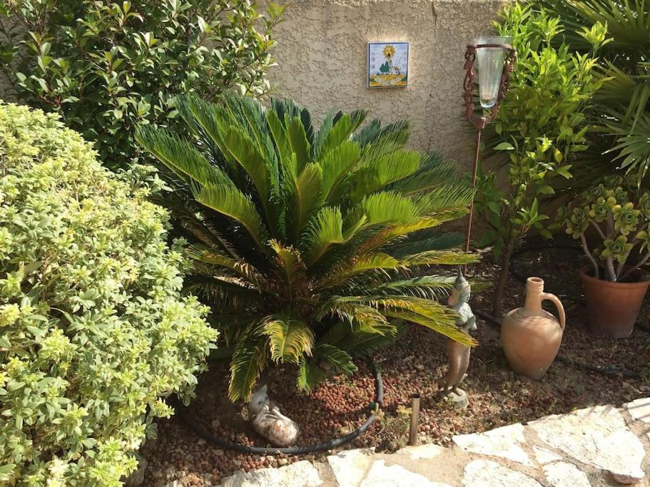 Au Pied Du Massif Des Costes Villa Pelissanne Luaran gambar